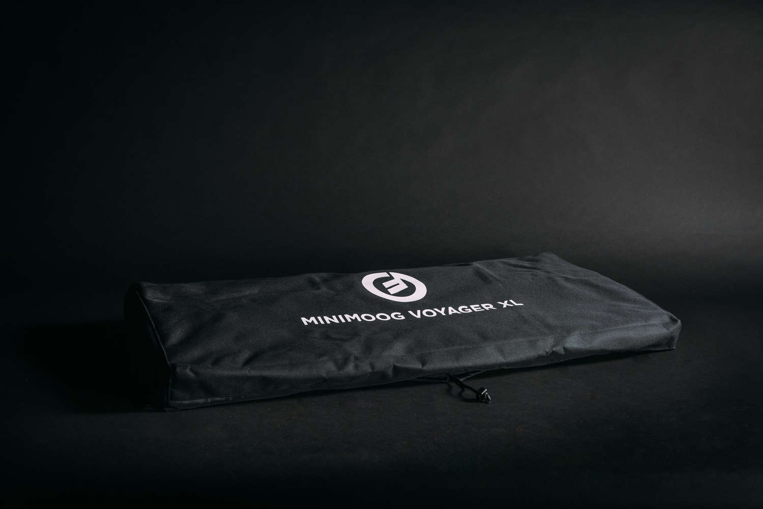 moog voyager dust cover