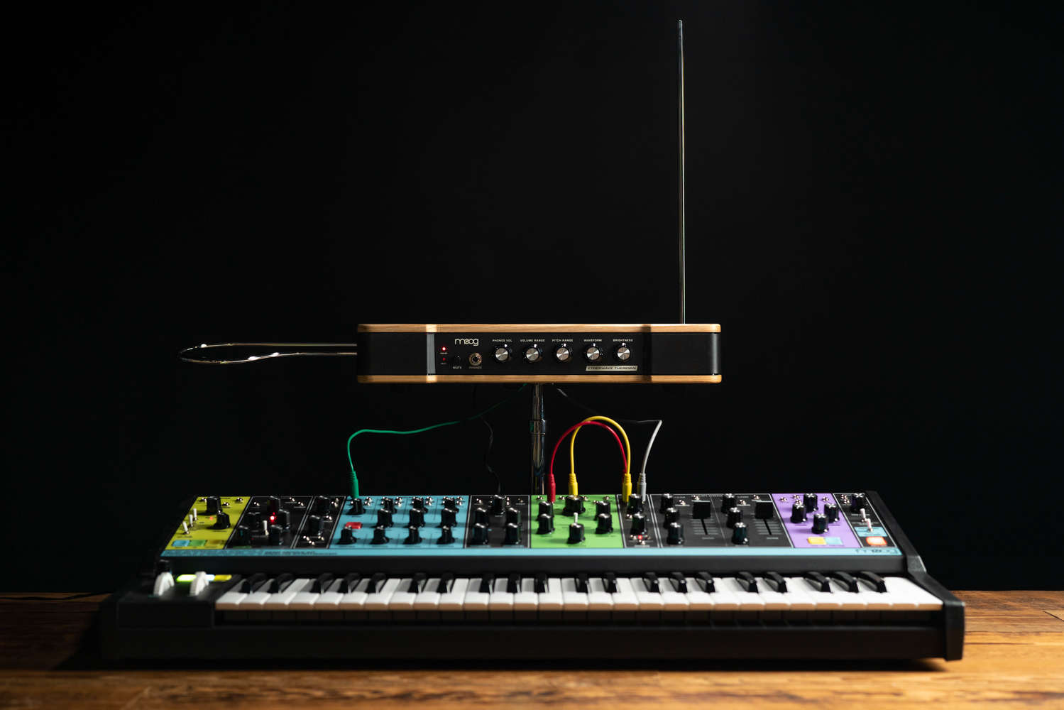 Theremine  Theremin, Theremin instruments, Moog